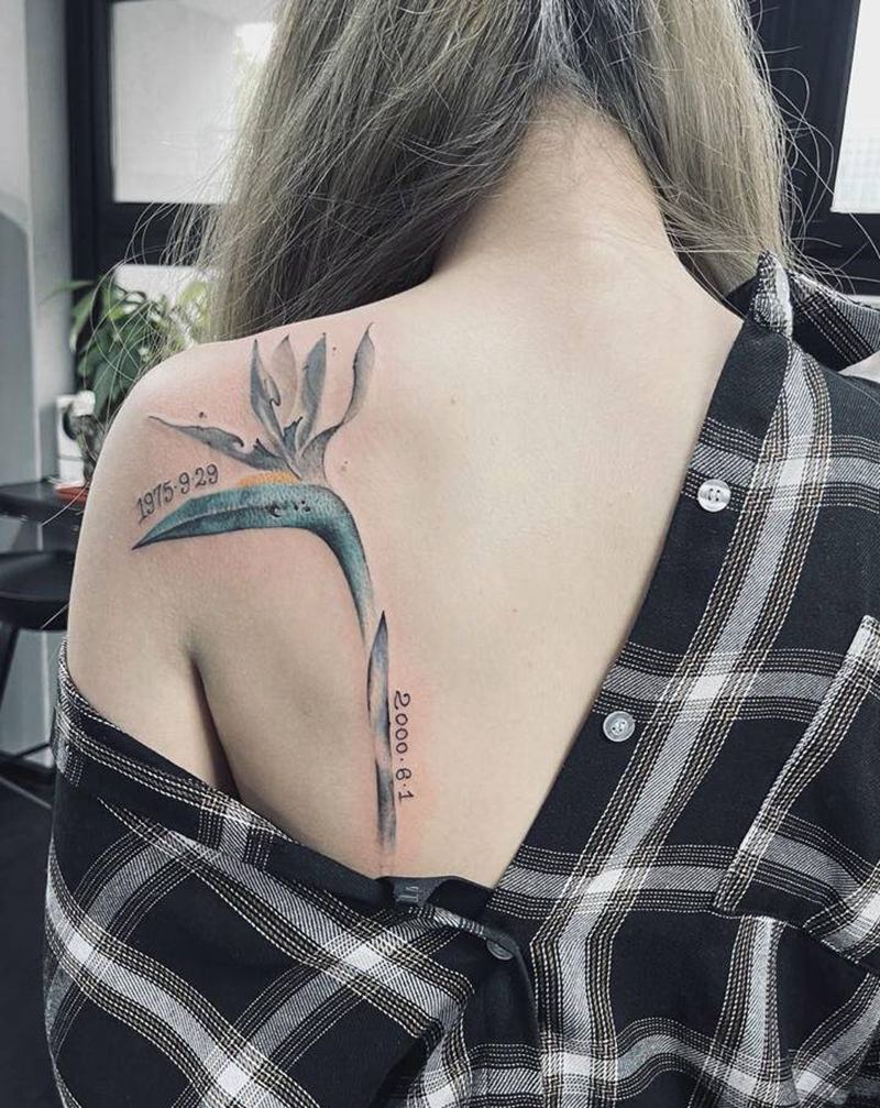 天堂鸟纹身图片_背部水墨鸟水墨纹身图案