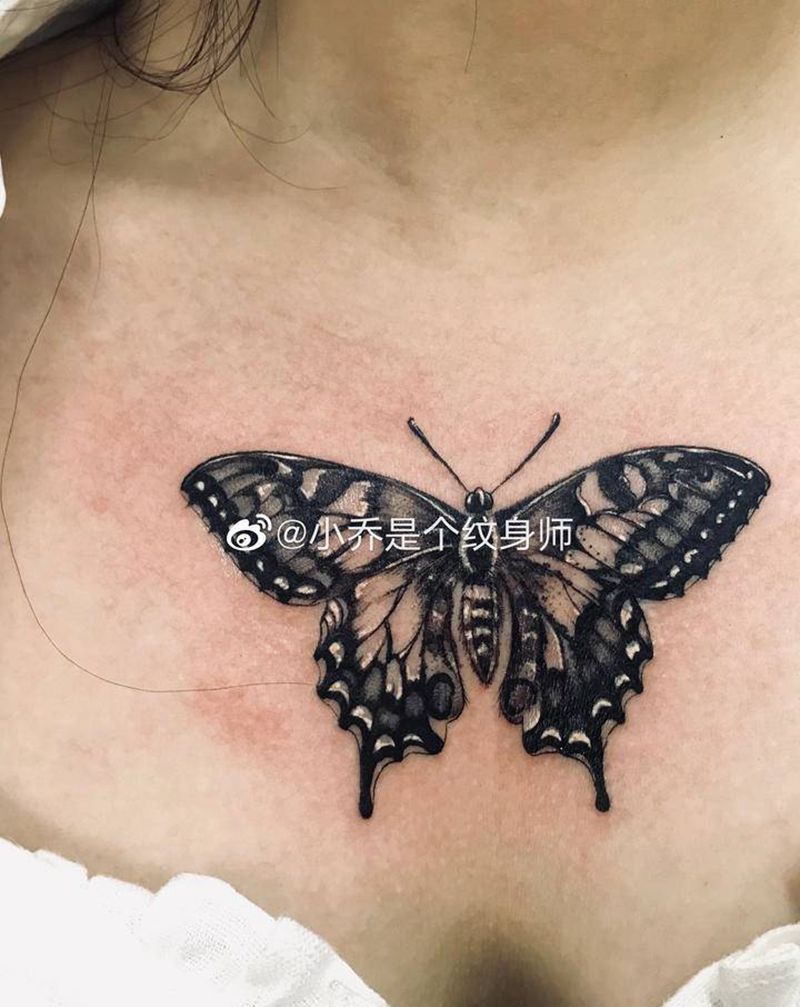 蛾子纹身图片_胸部纹身图案