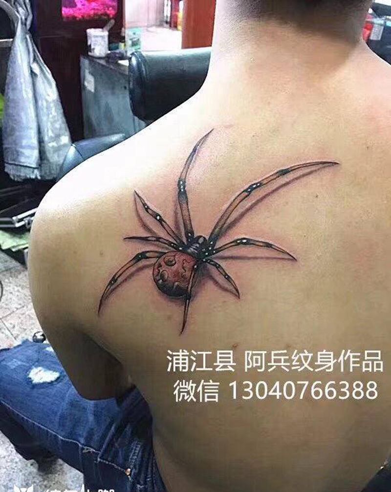 蜘蛛纹身图片_背部纹身图案
