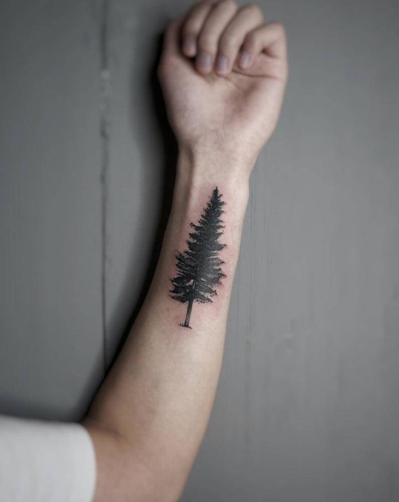 小树遮盖纹身图片_手臂纹身图案