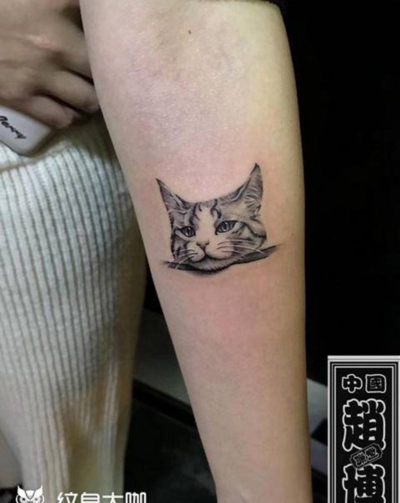 猫头纹身纹身图片_手臂欧美写实猫头纹身图案