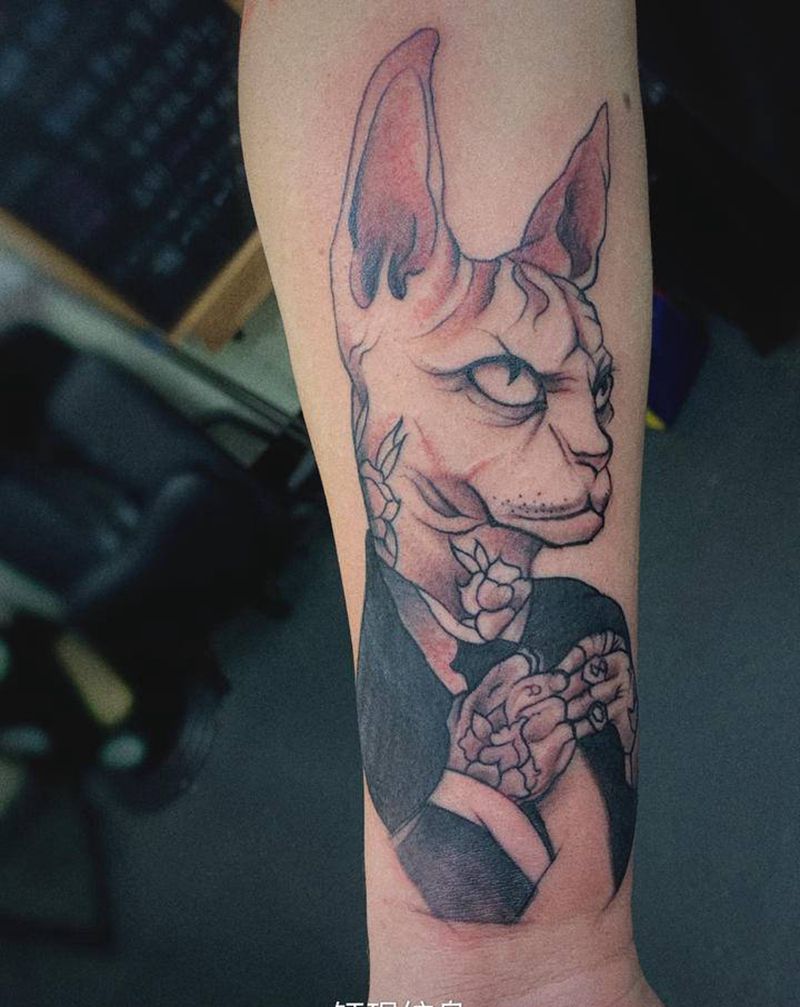 无毛猫纹身图片_手臂纹身图案