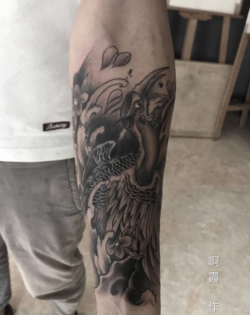 遮盖鹤纹身图片_手臂纹身图案
