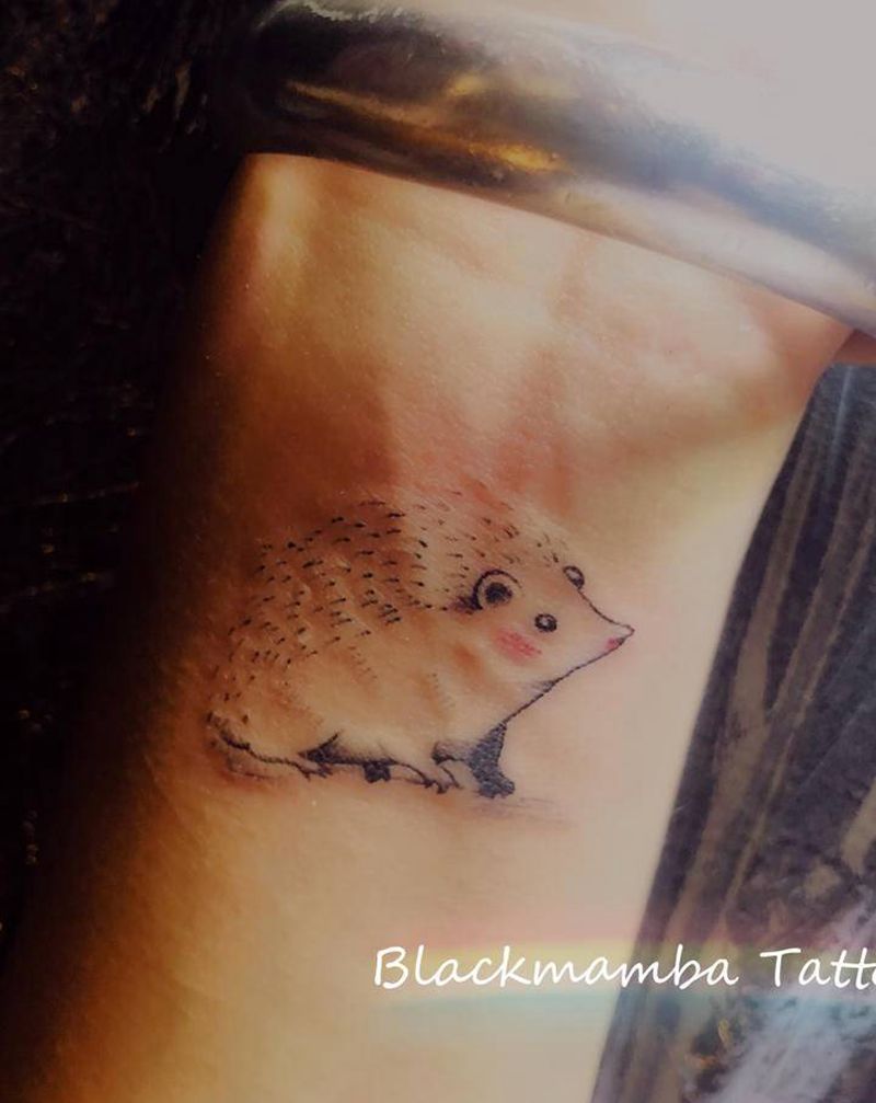 小刺猬纹身图片_手臂小清新动物 刺猬纹身图案