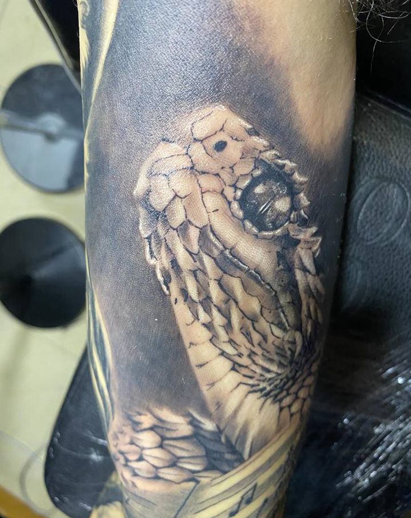 蛇纹身图片_手臂欧美写实蛇写实生肖纹身图案