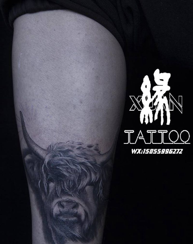 小牦牛纹身图片_腿部欧美写实牛纹身图案
