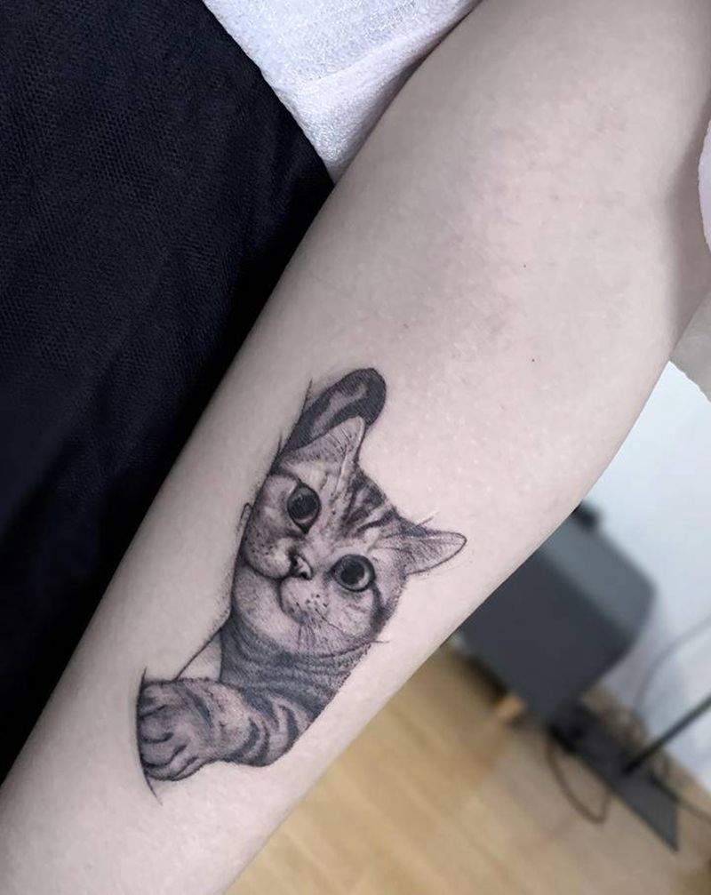 小猫咪纹身图片_手臂欧美写实纹身图案