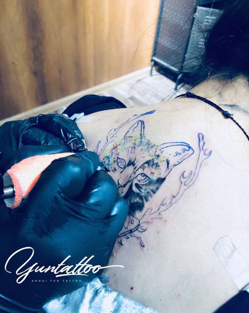 猫纹身图片_背部手臂New School欧美写实猫纹身图案