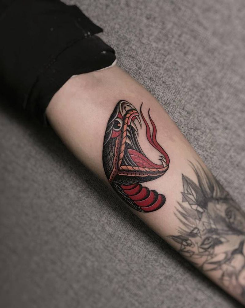 蛇纹身图片_手臂手部Old SchoolNew School纹身图案