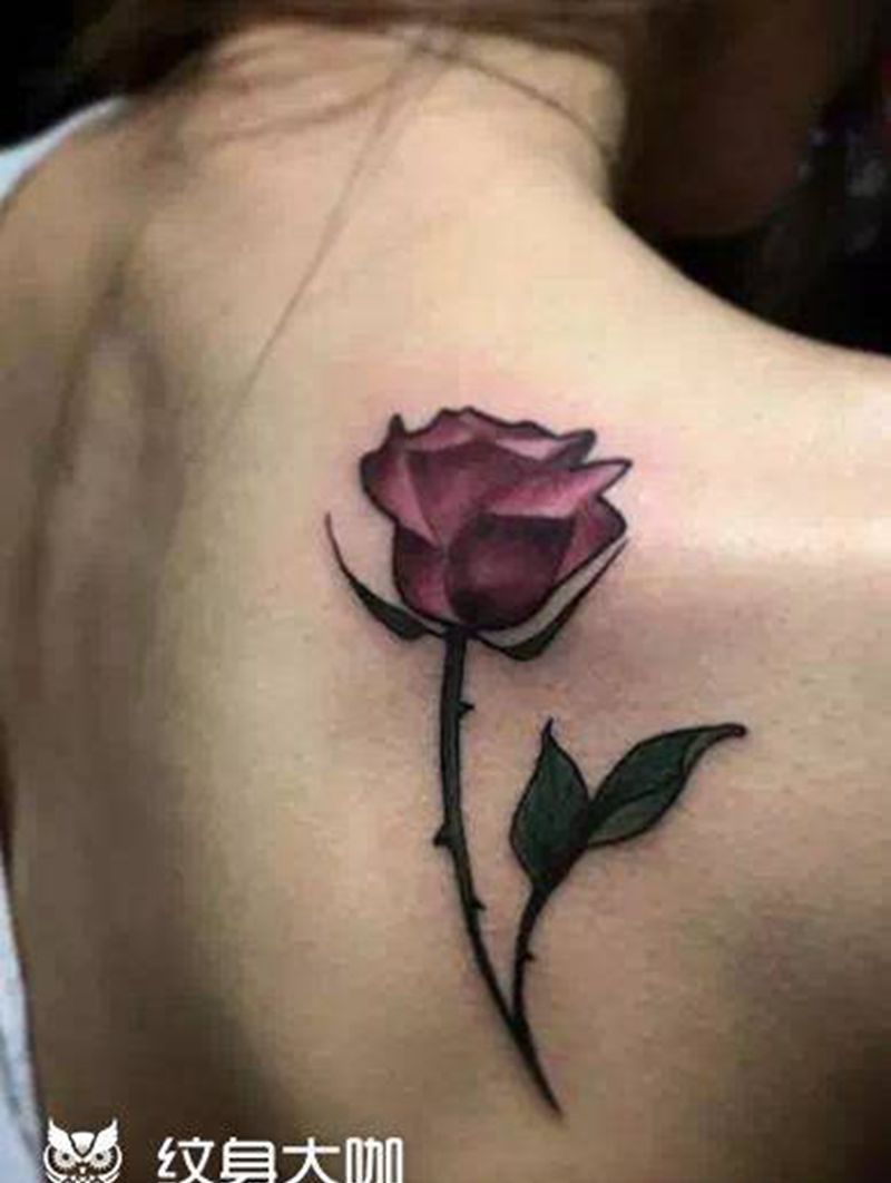 玫瑰花纹身纹身图片_胸部背部Old SchoolNew School纹身图案