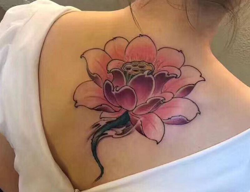 后背荷花纹身纹身图片_背部胸部新传统老传统纹身图案