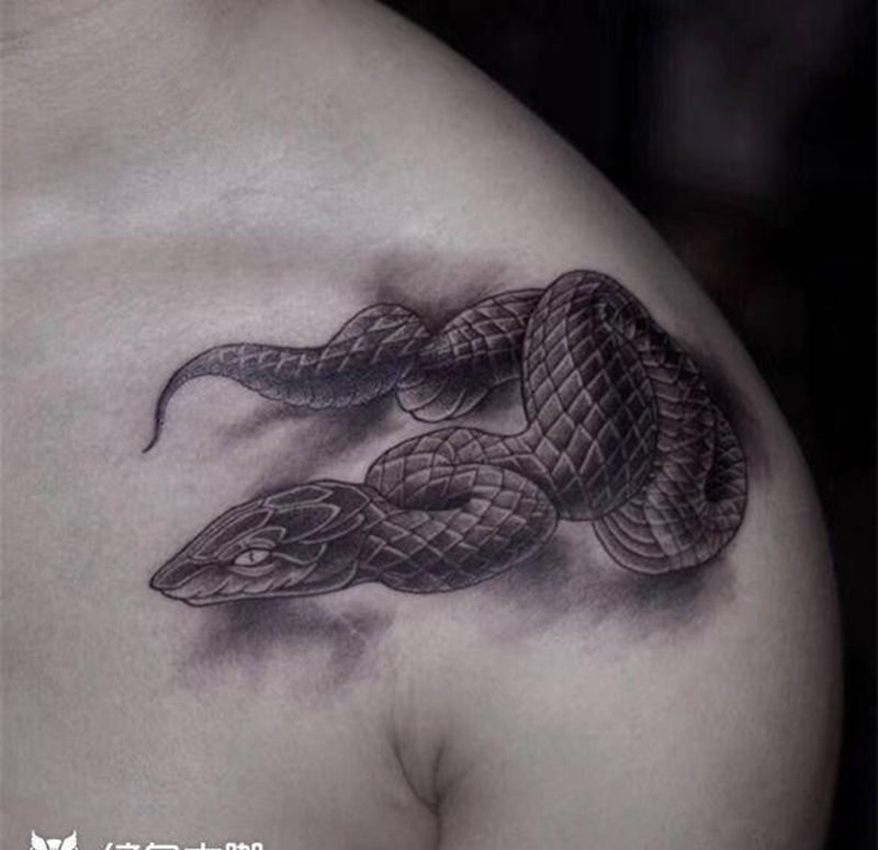 胸口蛇纹身纹身图片_胸部背部老传统新传统纹身图案