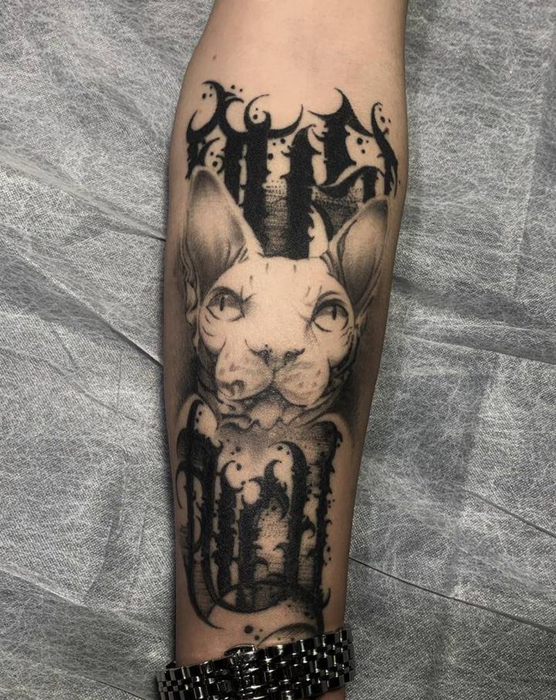 无毛猫纹身图片_手臂欧美写实纹身图案