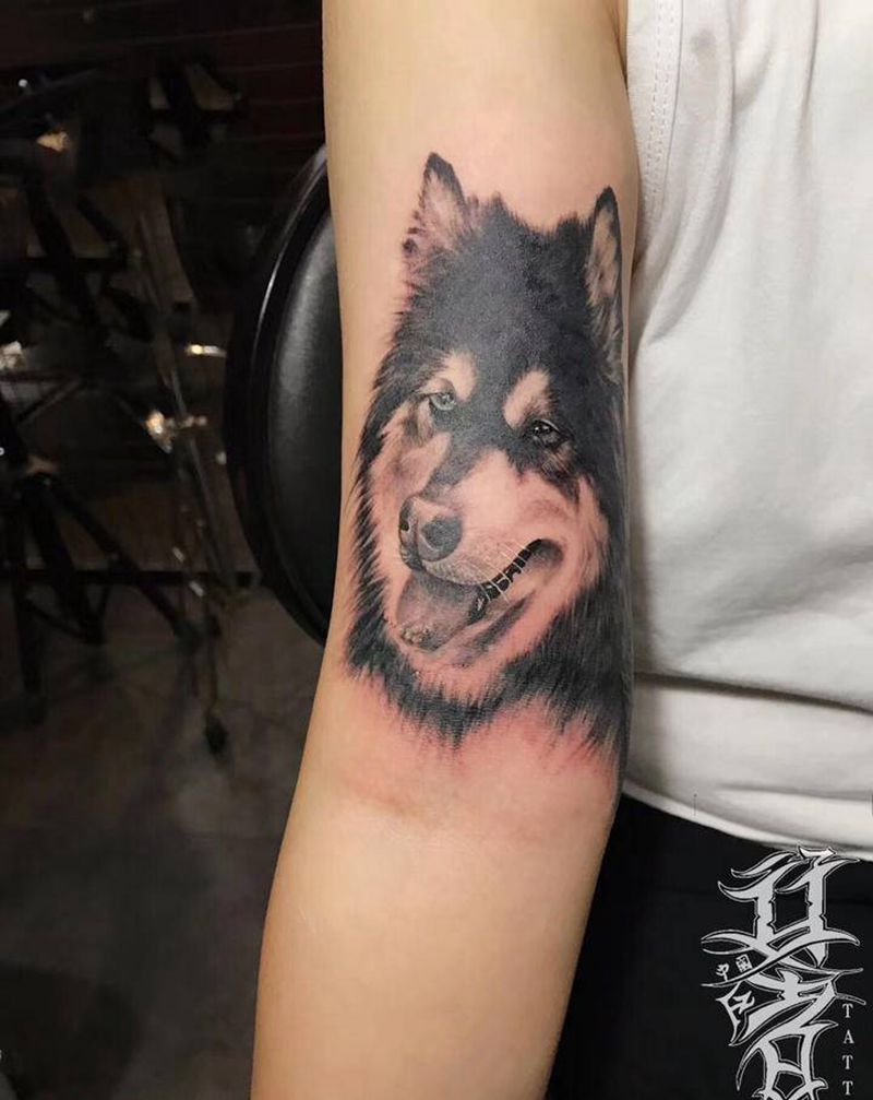 爱宠纹身图片_手臂欧美写实狗狗纹身图案