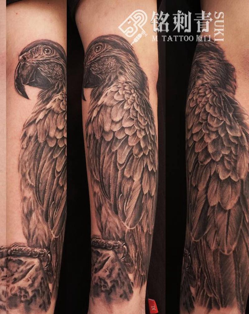 鹦鹉纹身图片_手臂欧美写实纹身图案