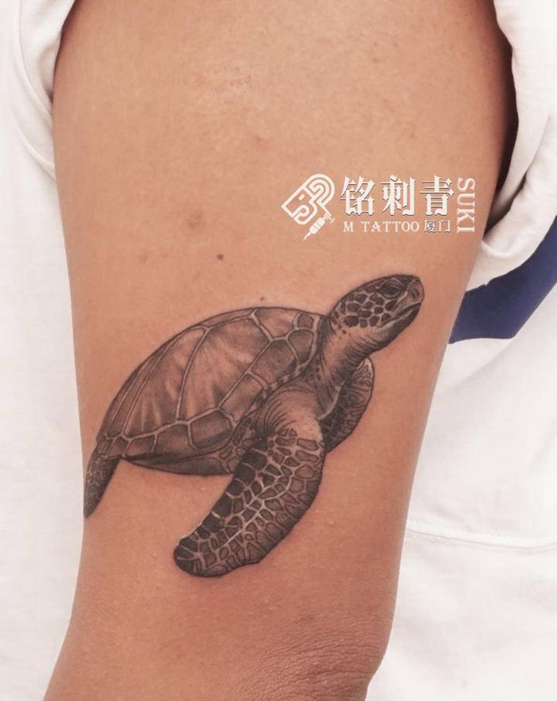海龟先生纹身图片_手臂欧美写实海龟纹身图案