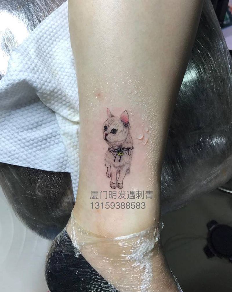 客人的猫猫纹身图片_欧美写实纹身图案