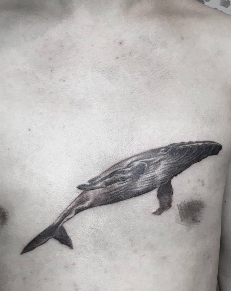 鲸鱼 遮盖旧图纹身图片_欧美写实纹身图案
