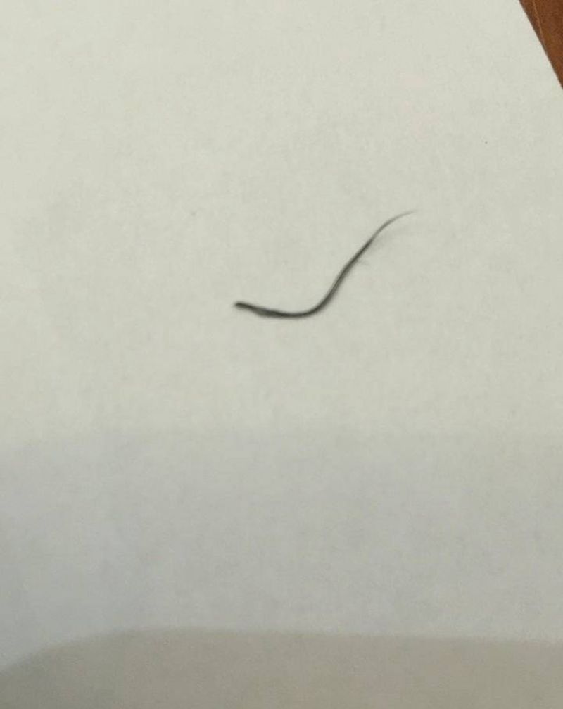 鼻毛出售纹身图片_颈部肩部纹身图案