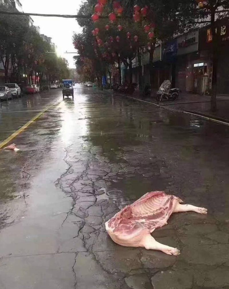 不知道该不该捡，站这半天了纹身图片_颈部背部几何New School纹身图案