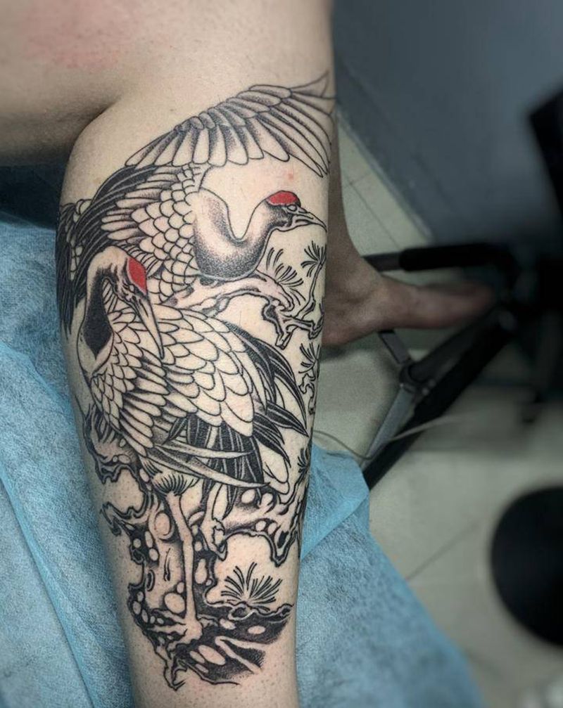 鹤纹身图片_腿部新传统鹤仙鹤纹身图案