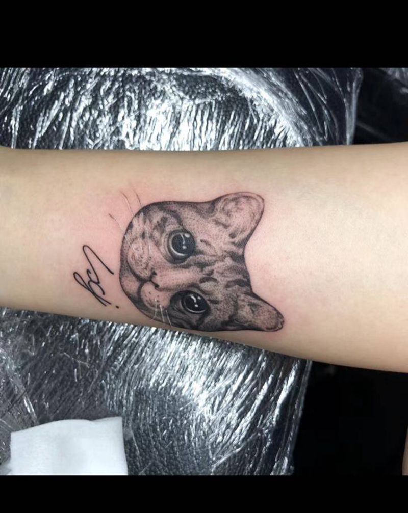 小猫纹身图片_手臂纹身图案