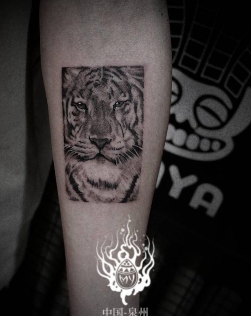 吴亦凡同款老虎