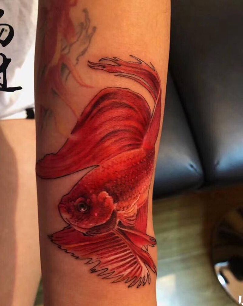 写实金鱼纹身图片_手臂纹身图案