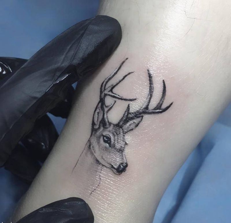 小清新鹿头纹身图片_腿部欧美写实点刺鹿圆针打雾纹身图案