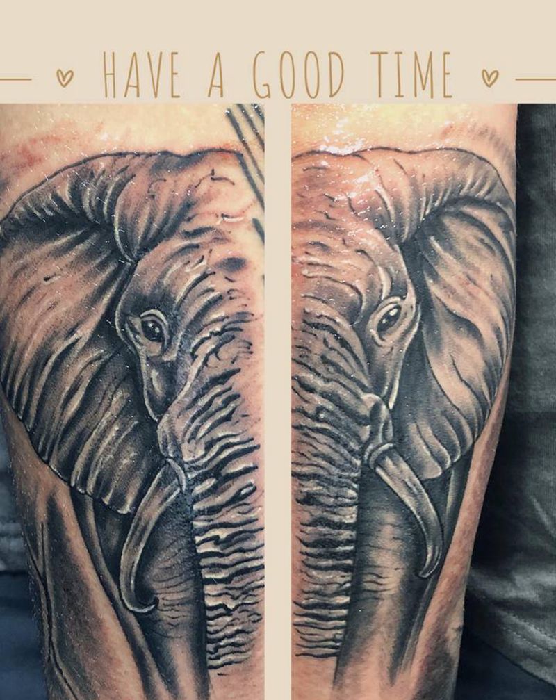 大象纹身图片_手臂手部欧美写实动物小臂纹身图案