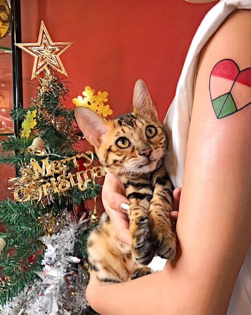 红绿小心纹身图片_手臂纹身图案