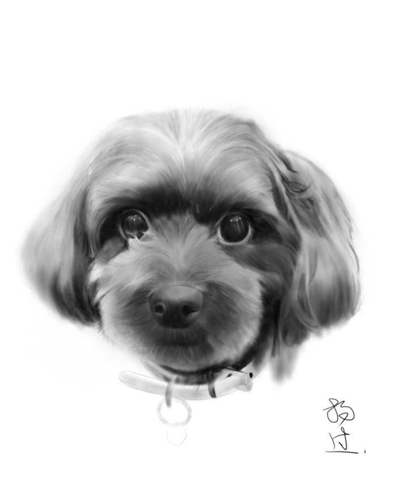 客稿纹身图片_手臂欧美写实纹身图案