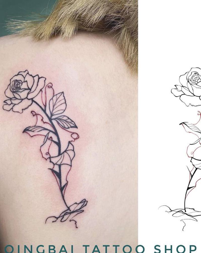 玫瑰/手稿纹身图片_背部纹身图案