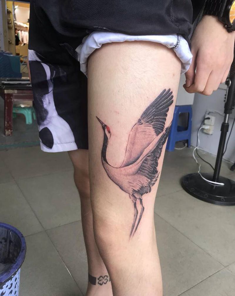 鹤纹身图片_腿部背部纹身图案
