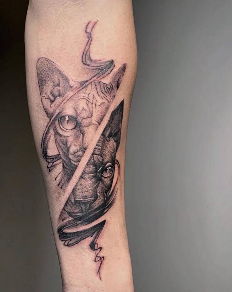 ＃斯芬克斯＃纹身图片_手臂欧美写实点刺猫无毛猫斯芬克斯纹身图案