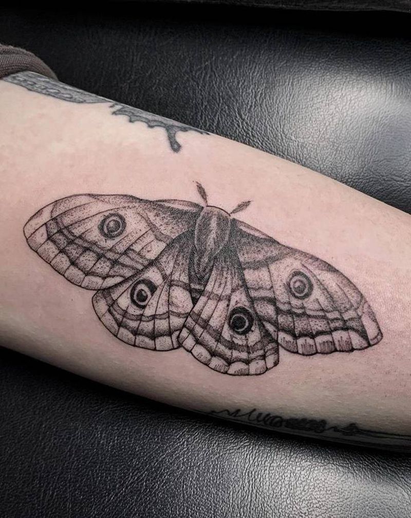 ＃蛾子＃纹身图片_手臂点刺欧美写实纹身图案