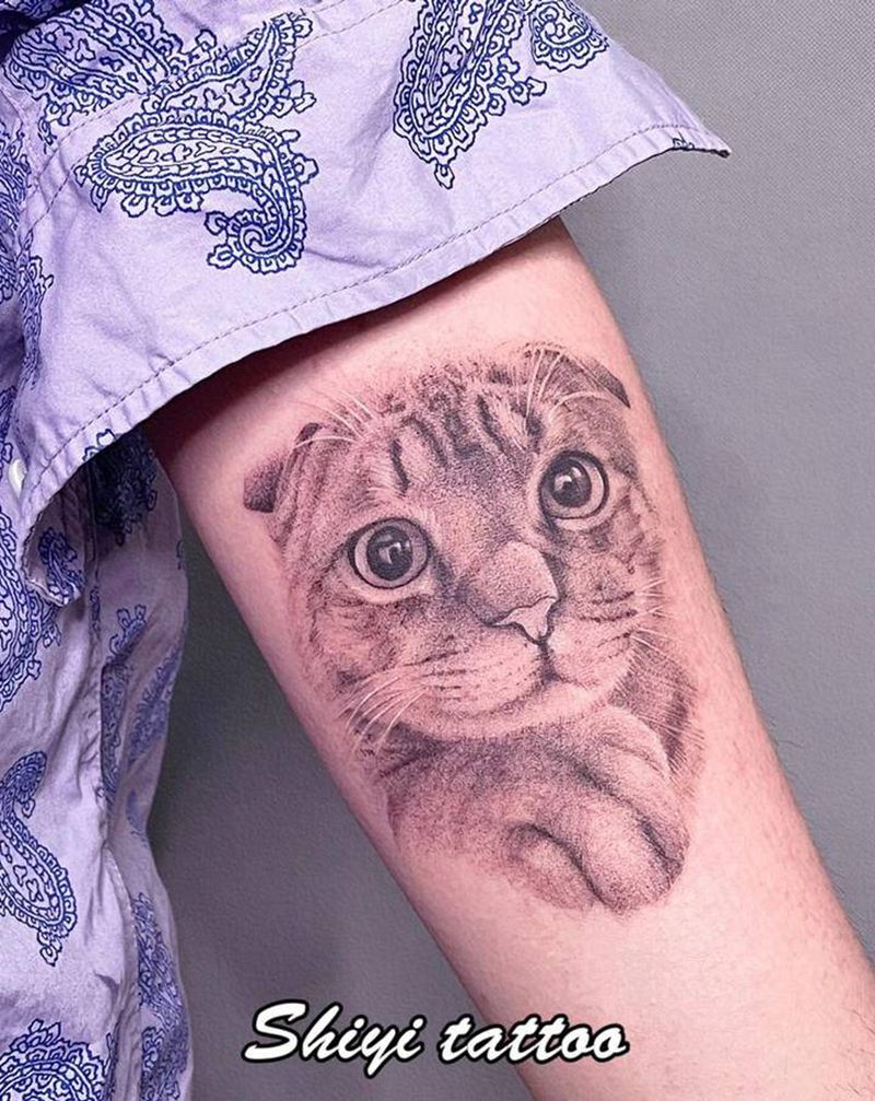 写实猫纹身图片_手臂欧美写实点刺纹身图案