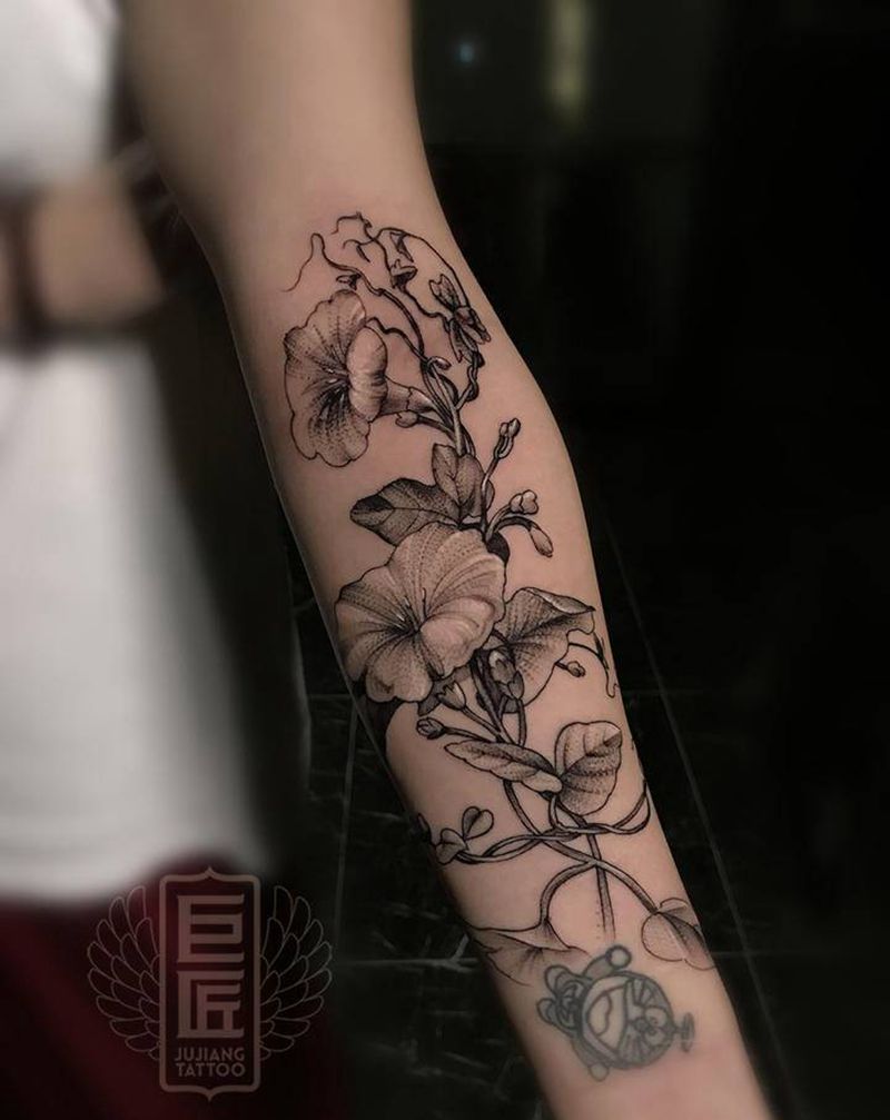 牵牛花纹身图片_手臂新传统牵牛花纹身图案