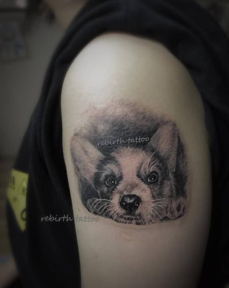 宠物纹身图片_手臂欧美写实柯基宠物狗纹身图案