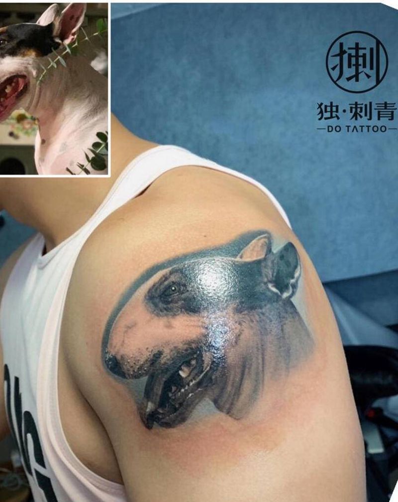 牛头梗纹身图片_手臂欧美写实纹身图案