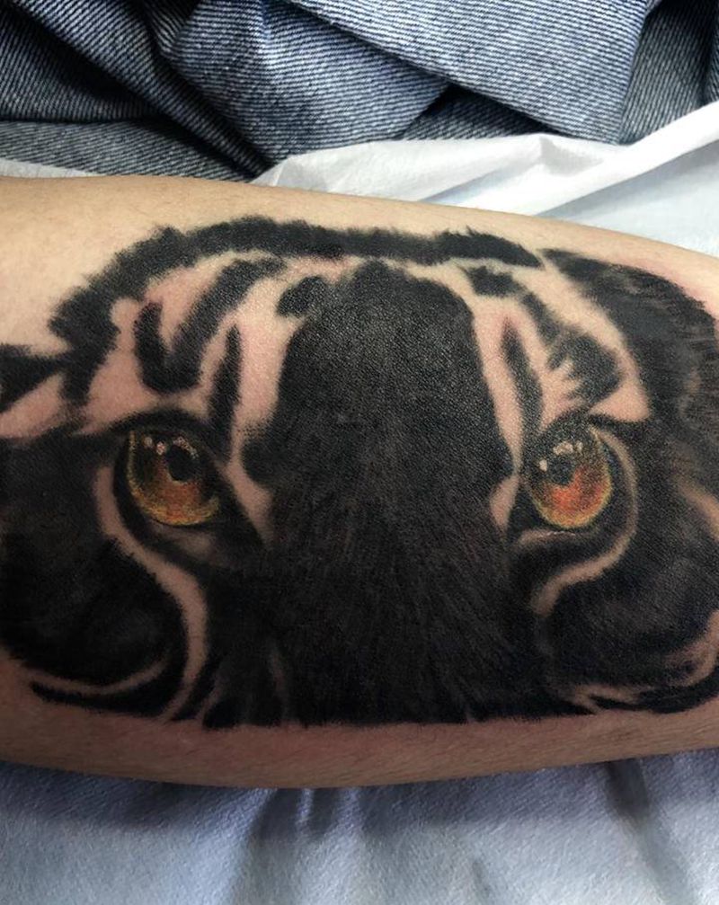 写实老虎纹身图片_手臂欧美写实纹身图案