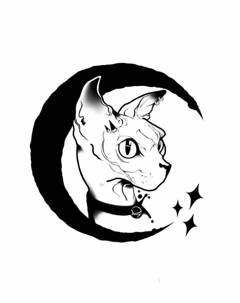 司芬克斯*猫纹身图片_手臂Old School纹身图案