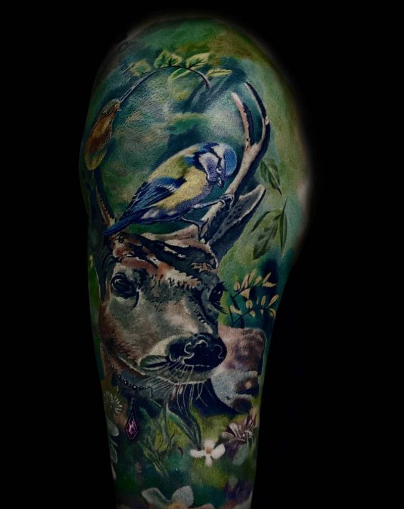 乐道彩色写实鹿