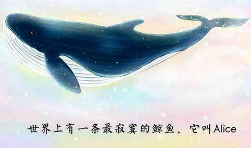世界上最孤独的鲸鱼纹身图片_鲸鱼纹身图案