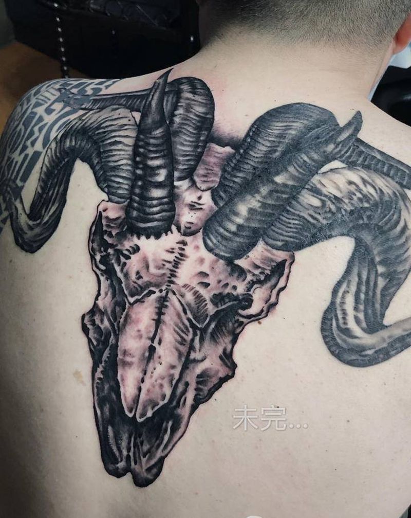 羊头，未完待续…纹身图片_背部纹身图案