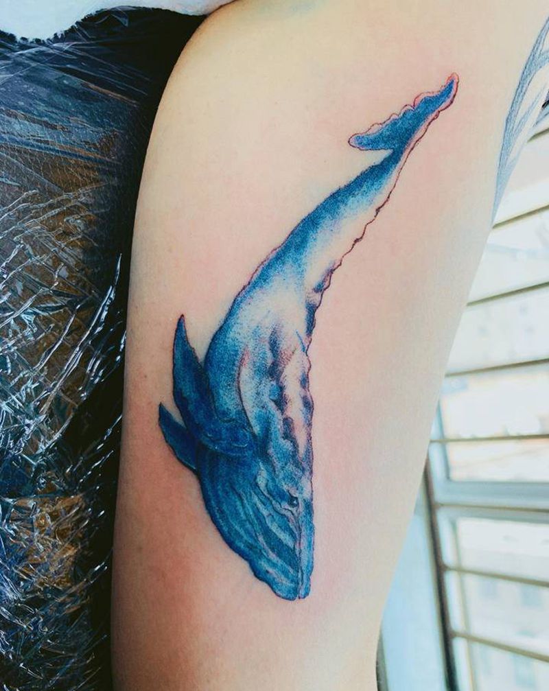 鲸鱼未提白纹身图片_手臂水彩纹身图案