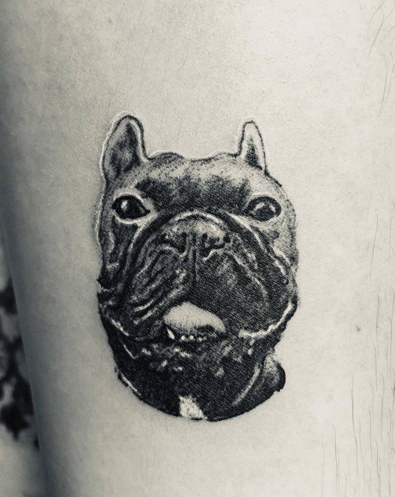 法斗纹身图片_手臂欧美写实纹身图案