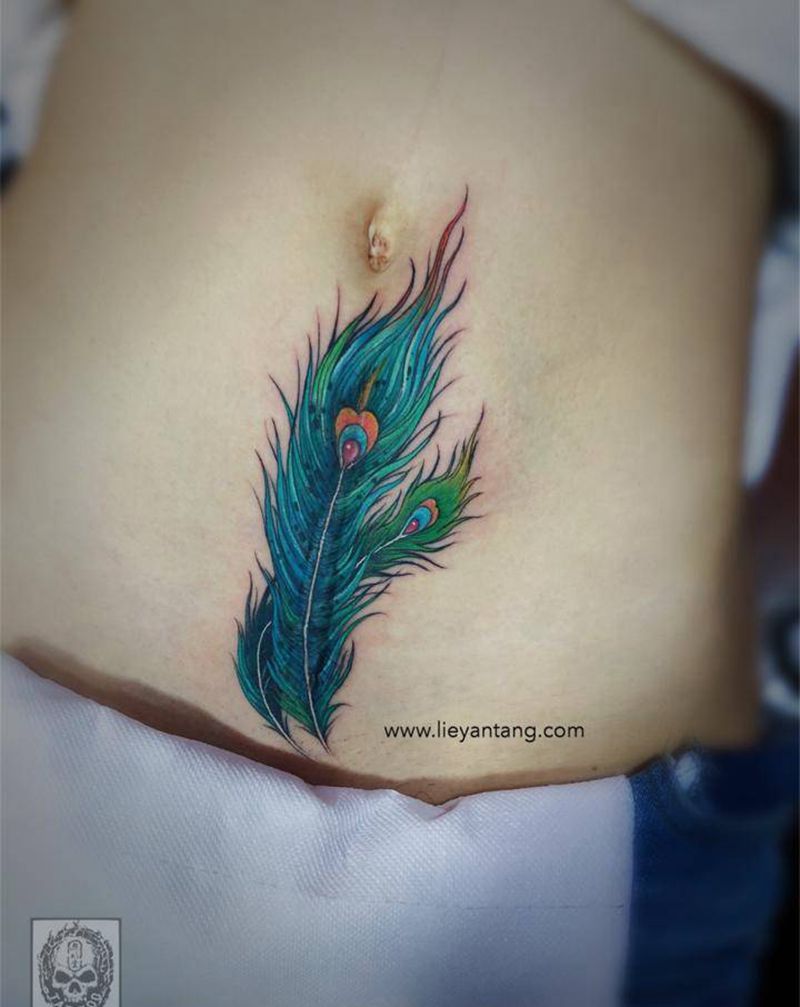 凤凰羽毛纹身图片_腹部纹身图案