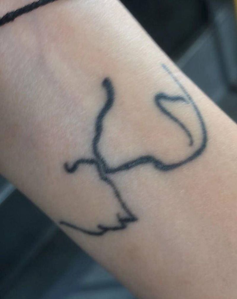 遮盖作品，彩虹