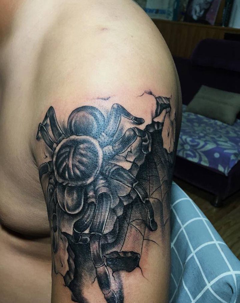 蜘蛛纹身图片_手臂纹身图案